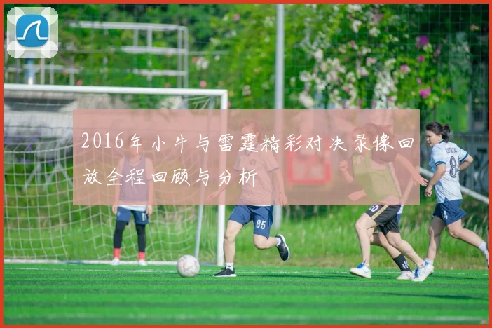 2016年小牛与雷霆精彩对决录像回放全程回顾与分析